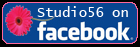 Join Studio56 on Facebook